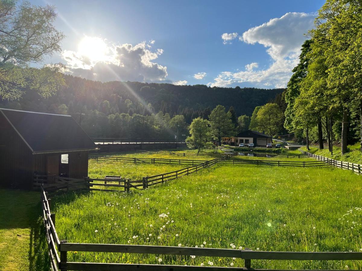 Ferienwohnung Schmalzgrube Jöhstadt Eksteriør bilde